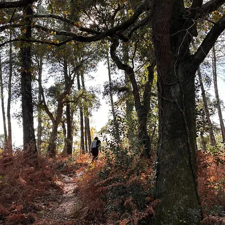 Apartment Grand Duplex 2 Au Calme-ocean-lac-nature *